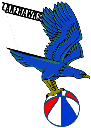 West Michigan Lake Hawks 2013-2015 Primary Logo iron on heat transfer